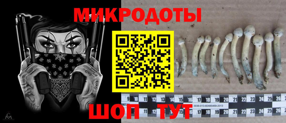 Артёмовский  Галлюциногенные грибы мухоморы  Вход с VPN 